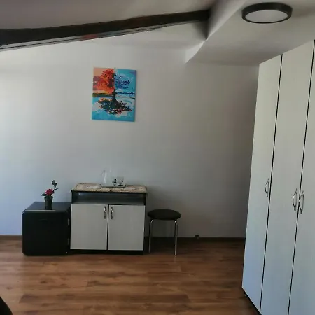 Casa Gramy Neagra Sarului